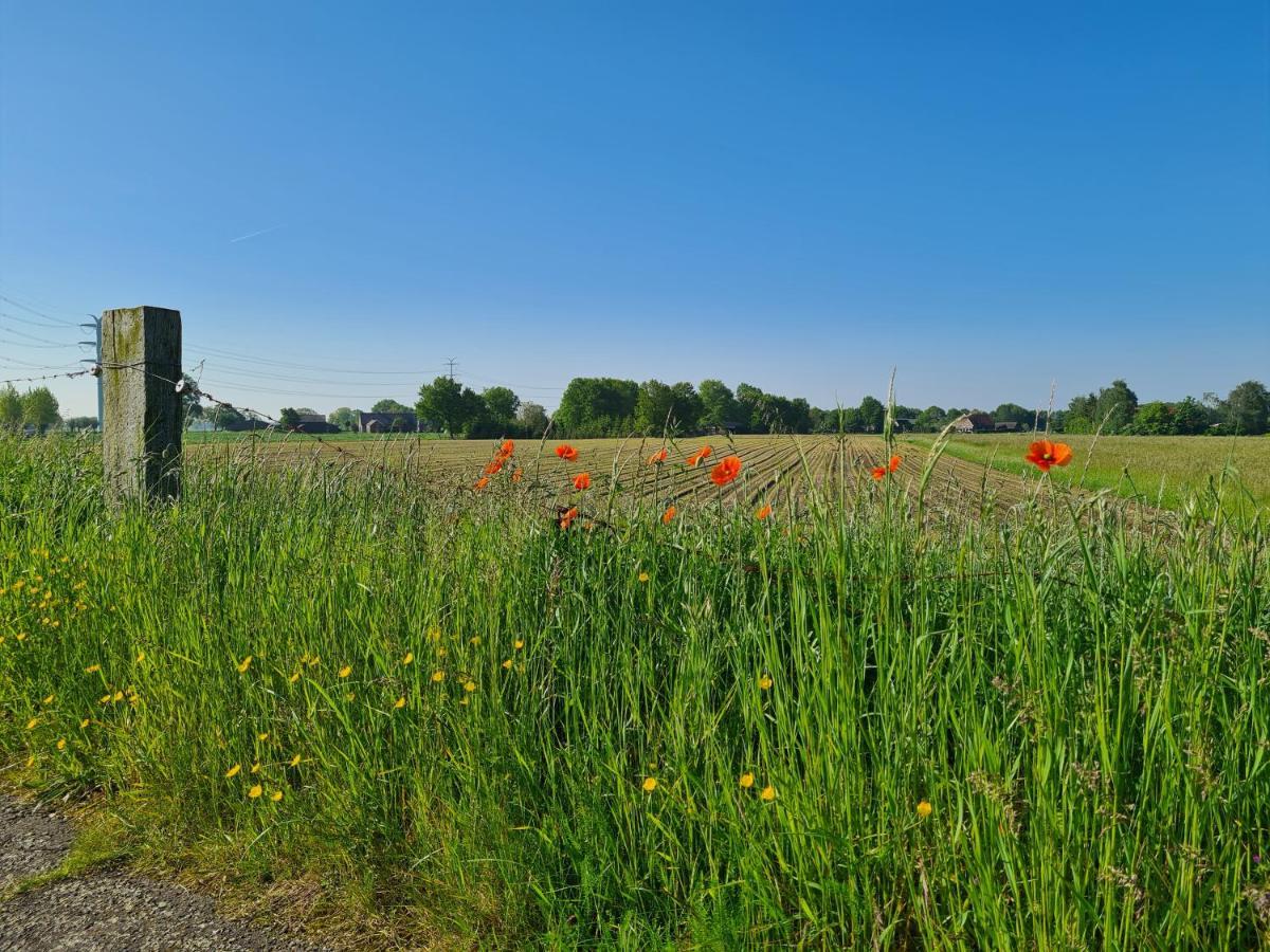 Вилла Tiny House In De Achterhoek Voorst  Экстерьер фото